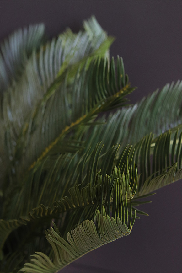 Cykas, sztuczna roślina w osłonce z tworzywa sztucznego,