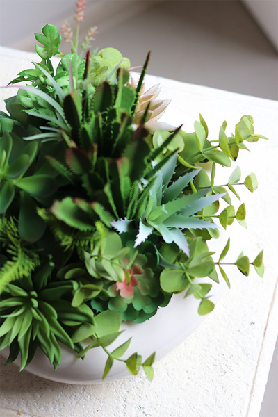 Gessa, kompozycja z sukulentów