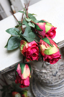 bukiet róż, Premiolla, różowe, 4szt, dł. 52cm