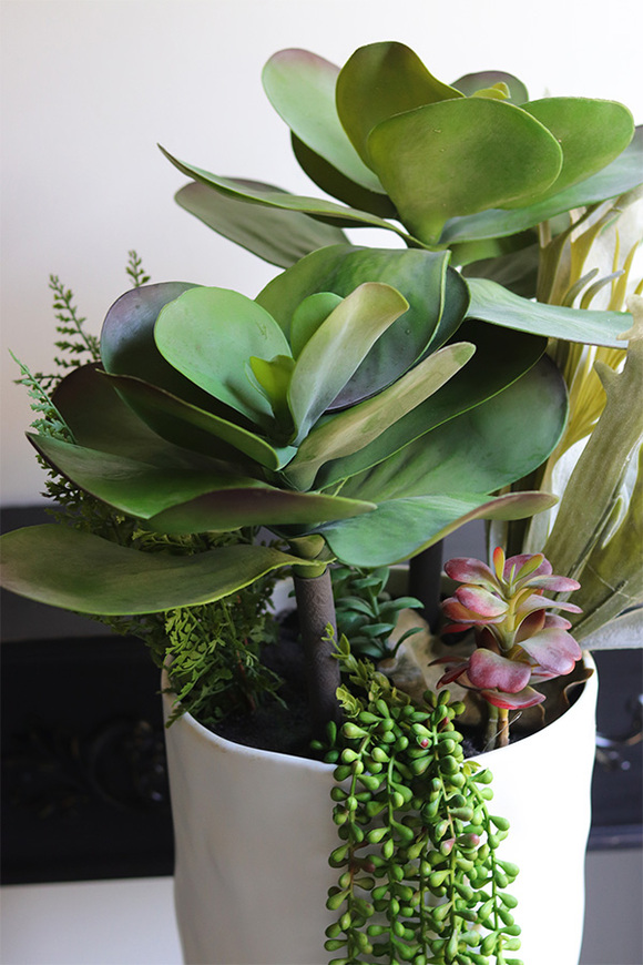 Cactina, sukulenty w wysokiej donicy