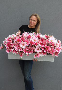 Dalila Magnolie, kompozycja z magnolii w stretchu do obsadzenia, wym.43x98x48cm