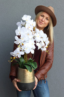 Nero Gold, sztuczny storczyk w ceramicznej donicy