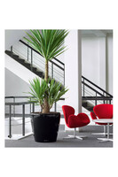 Classico, elegancka donica z nawadnianiem, czarny