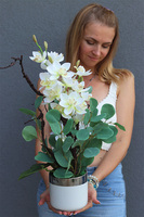 Joanne, wysokiej jakości storczyk w ceramicznej donicy, wys.60cm