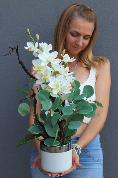 Joanne, wysokiej jakości storczyk w ceramicznej donicy, wys.60cm