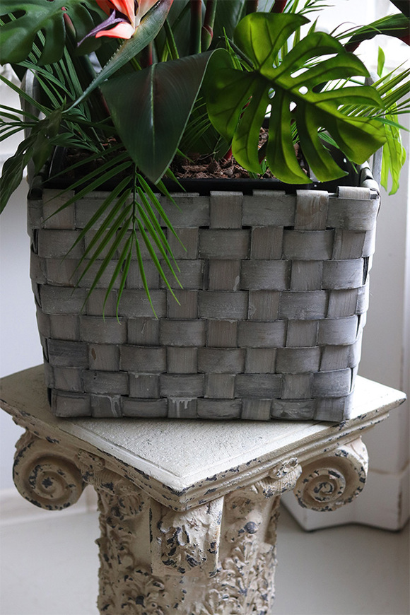 Strelicja Basket, kompozycja w koszu