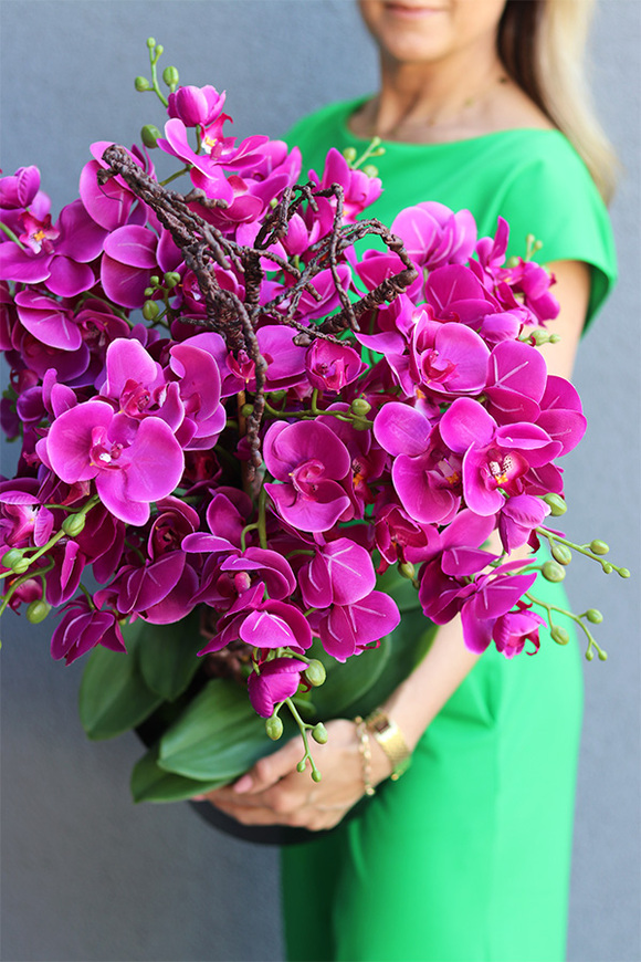 Gizelle storczyk fuksja w Twoim wkładzie