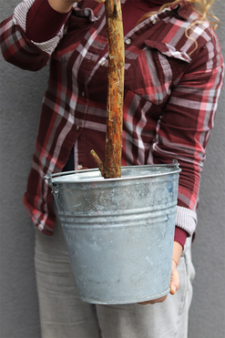 Oliwka Provance, sztuczne drzewko w metalowej donicy, wys.146cm