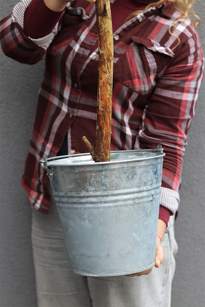 Oliwka Provance, sztuczne drzewko w metalowej donicy