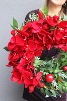 Orchidelia Red Winter, zimowy wianek na drzwi