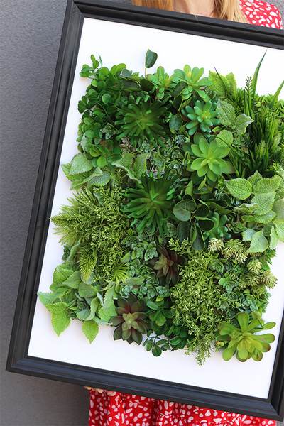 Hotels New Black Sukulenty, czarna jednostronna rama