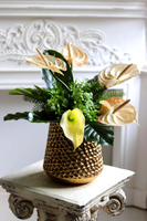 Anturium Gold, kompozycja w złotym wazonie