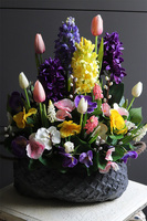 Hiacyntowa Volcan Big, kompozycja nagrobna w osłonce