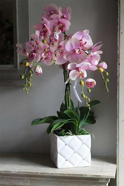 Bedolia Pink, różowy storczyk w donicy z kryształami, wys.62cm