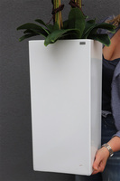 Grande Fiberglass Novelty, storczyk w białej donicy z fiberglass (połysk), wys.130cm