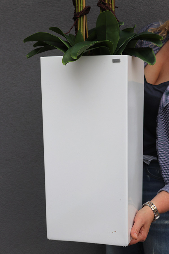 Grande Fiberglass Novelty, storczyk w białej donicy z fiberglass (połysk), wys.130cm