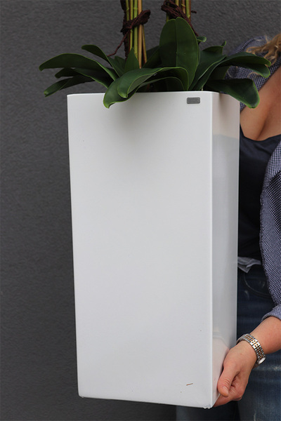 Grande Fiberglass Novelty, storczyk w białej donicy z fiberglass (połysk), wys.130cm