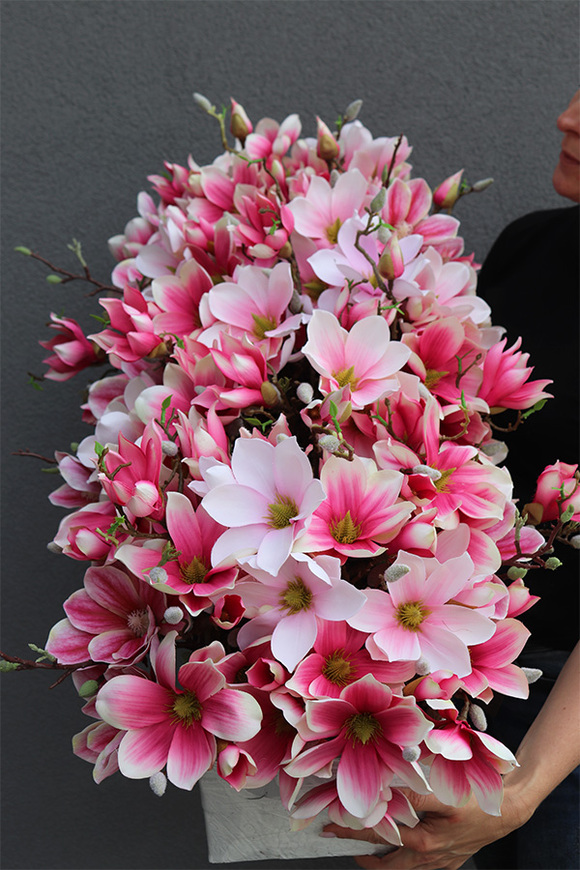 Dalila Magnolie, kompozycja z magnolii w stretchu do obsadzenia, wym.43x98x48cm