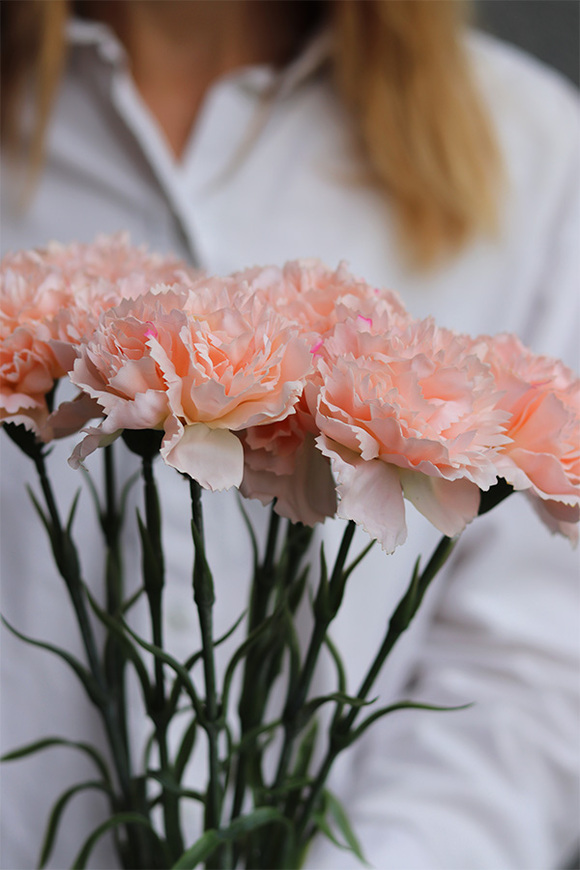  Cloves, bukiet kwiatów goździki