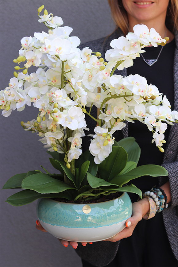 Quemada Turkus, sztuczny storczyk w ozdobnej misie	