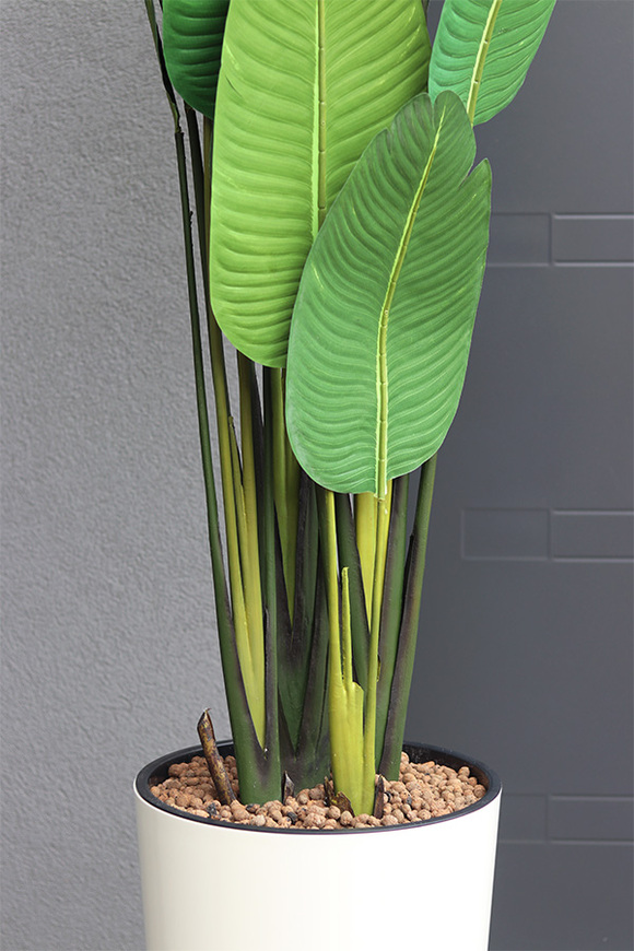 Bananowiec Mediolan Creme, sztuczna roślina w donicy