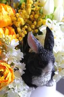 Króliczek w Ogrodzie, wiosenny flowerbox z figurką