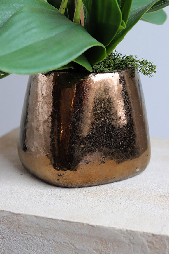 Castellamare Elite, różowy storczyk w miedzianej donicy