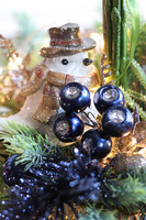 elegancki storczyk zimowy, Złoto & Granat