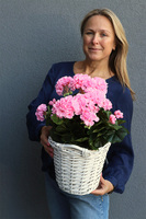 Pink Basket, sztuczne pelargonie w koszu