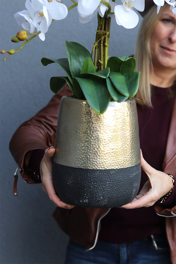 Nero Gold, sztuczny storczyk w ceramicznej donicy