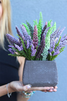 Wrzosy Simple, kompozycja kwiatowa w betonowej donicy, wym.25x26cm