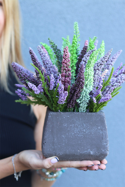 Wrzosy Simple, kompozycja kwiatowa w betonowej donicy, wym.25x26cm