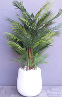  palma Greentia Fiberglass White, sztuczna palma w lśniącej donicy