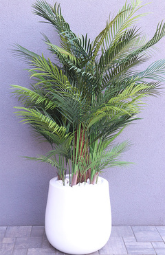 palma Greentia Fiberglass White, sztuczna palma w lśniącej donicy, wys.180cm 