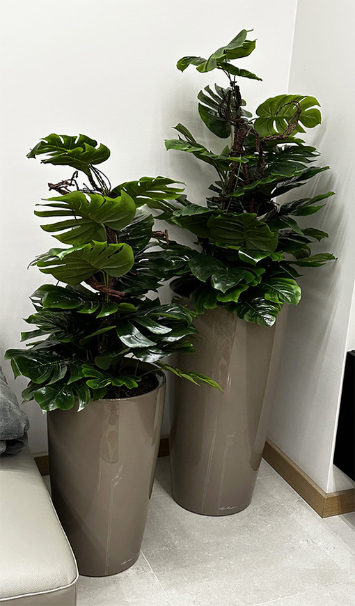 Monstera Rondo Taupe, sztuczna roślina w donicy, niższa