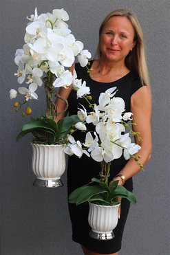 białe storczyki Meleusa w donicach glamour, kpl.2szt