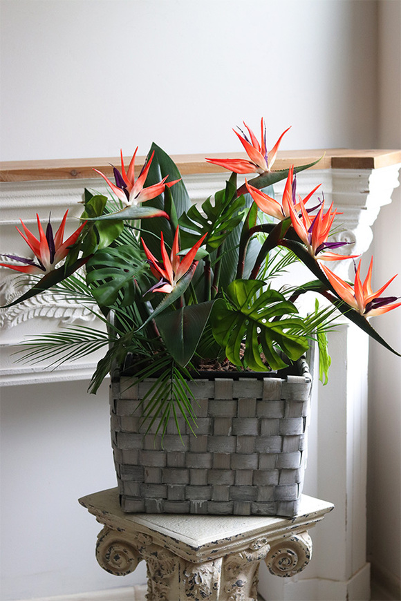 Strelicja Basket, kompozycja w koszu