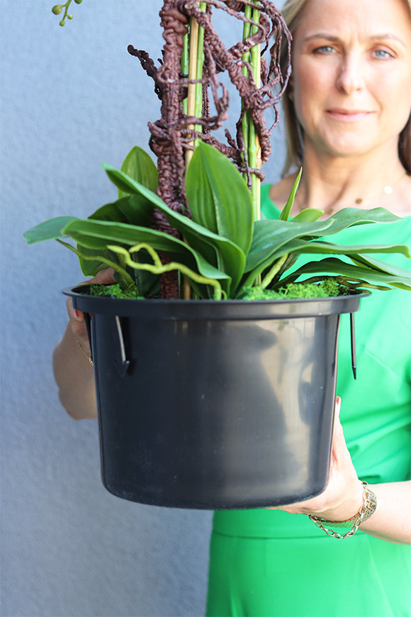 Gizelle storczyk fuksja w Twoim wkładzie