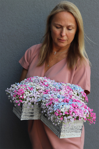 Gipsówka Krzyż Pamięci, kompozycja nagrobna w naczyniu