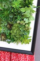 Hotels New Black Sukulenty, czarna jednostronna rama