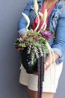 Cristina Head, kompozycja sukulenty w głowie