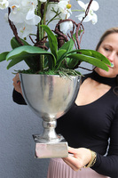 Deluxe, sztuczny storczyk w metalowym pucharze