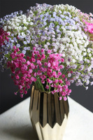 Złoty Design, bukiet gipsówki w wazonie