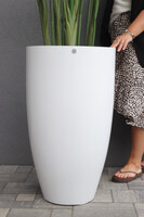 Strelicja Fiberglass Bahama 2, egzotyczna kompozycja w donicy