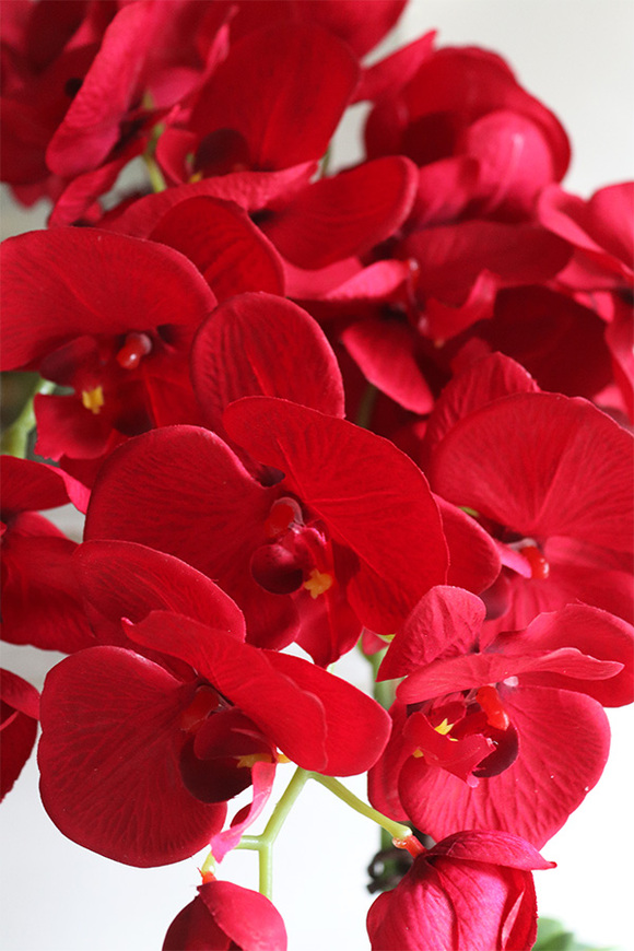 Delicja Karminosa, sztuczny storczyk w czarnej donicy, wys.60cm 