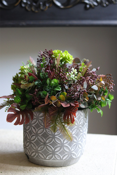 Greenita, sukulenty w nowoczesnej donicy