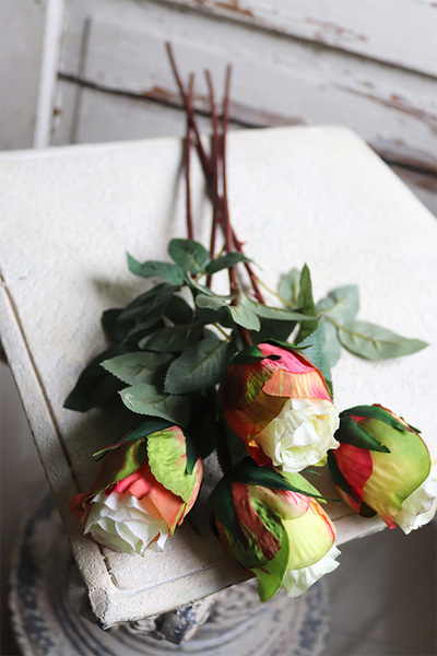 bukiet róż, Premiolla, zielone, 4szt, dł. 52cm