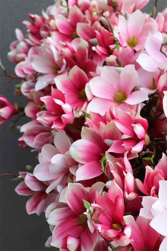 Dalila Magnolie, kompozycja z magnolii w stretchu do obsadzenia, wym.43x98x48cm