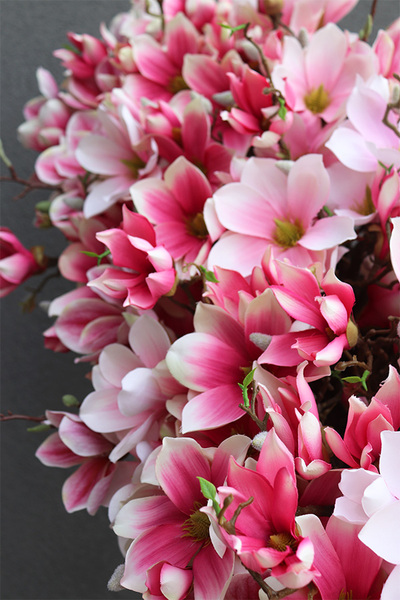 Dalila Magnolie, kompozycja z magnolii w stretchu do obsadzenia, wym.43x98x48cm