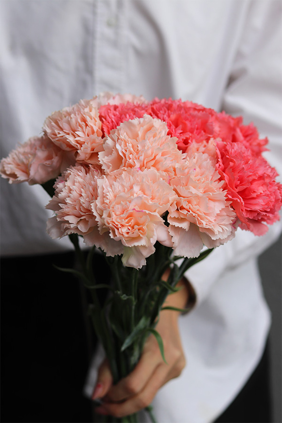  Cloves, bukiet kwiatów goździki